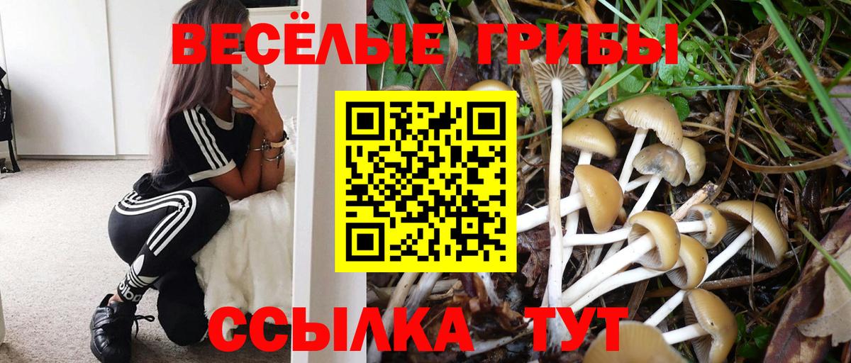 Владимир  Псилоцибиновые грибы Psilocybine cubensis  купить наркоту  Вход с VPN 