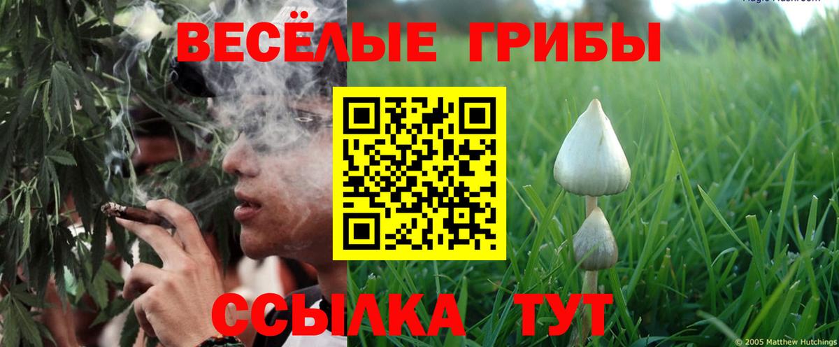 Галлюциногенные грибы MAGIC MUSHROOMS Владимир