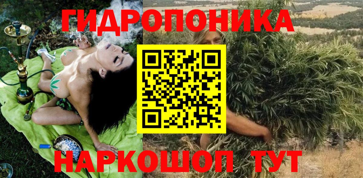 Владимир  Марихуана сатива  Вход с VPN  Конопля сатива  Конопля LSD WEED 